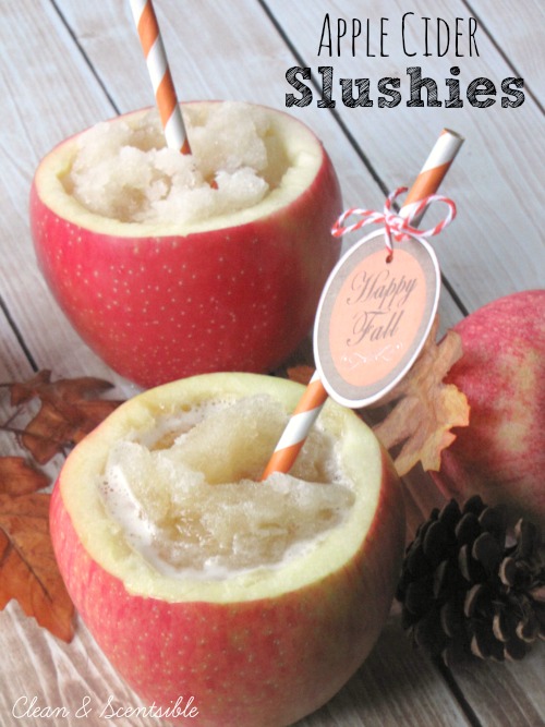 These apple cider slushies make the perfect fall drink! Serve them in apple cups for some added fun!