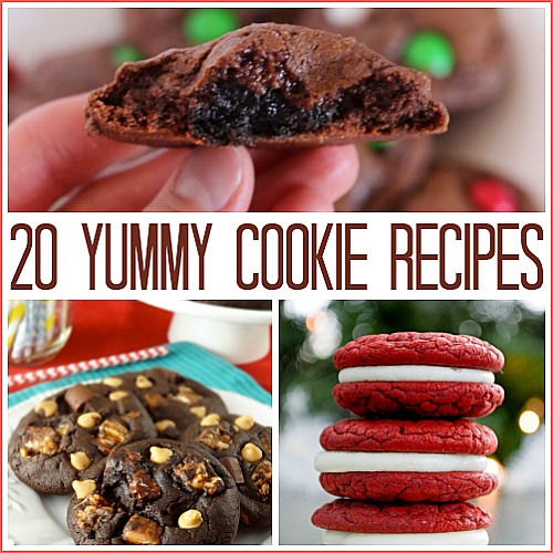 20 Delicious Cookie Recipes