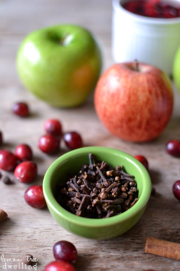 Slow Cooker Spiced Cranberry Apple Cider. Pin it now and make it later!