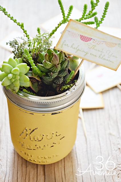 Super cute DIY Mini  Garden and free printable... This would make such a cute gift! the36thavenue.com