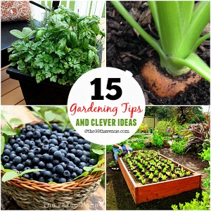 15 Gardening Tips and Clever Ideas
