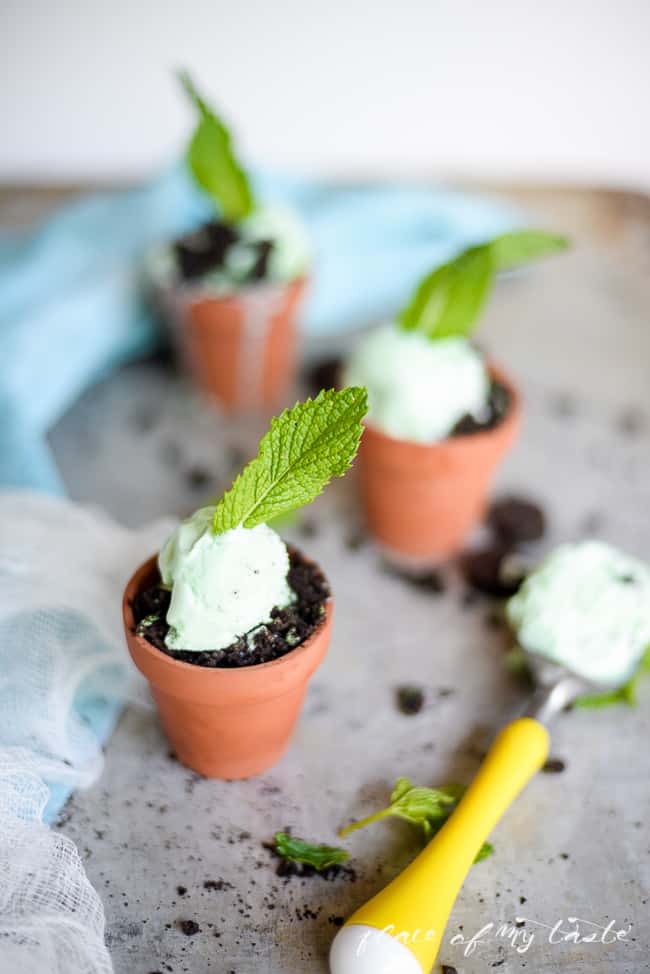 Dessert Recipes - Mini Mint Chocolate Chip Ice Cream Planters by lplaceofmytaste.com  ...Pin it now and make them later!