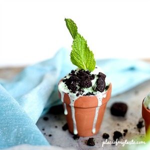 Dessert Recipes – Mint Ice Cream Planters