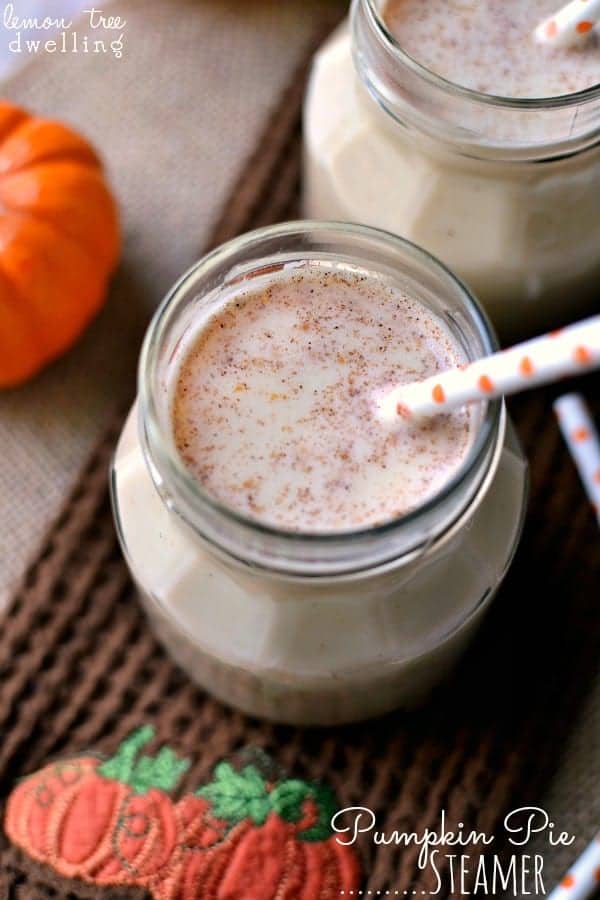 Fall Recipe - Pumpkin Pie Steamer : Just 3 ingredients and so delicious for fall!