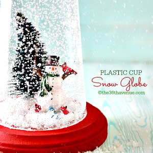 Snow Globe – Christmas Gift Idea